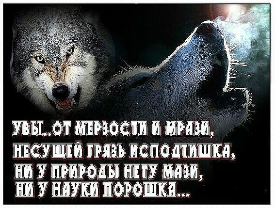 ШЁ Ё Ш ШШЗШ Ё ЁРЯРЗЪ я Ш У ЩЗШ Ш ЕУ ШШ ШШ