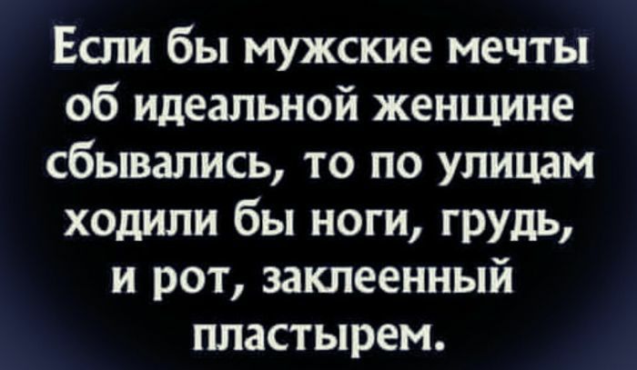 Если бы мужские мечты об Идеальной женщине сбывались то по улицам ходили бы ноги грудь и рот заклеенный пластырем