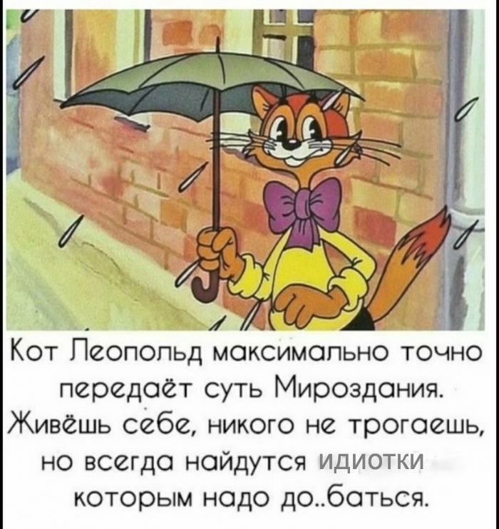 Кот Пеопопьд моксимопьно точно передаёт суть Мироздания Живёшь себе никого не трогоешь но всегда найдутся идиотки которым надо доботься