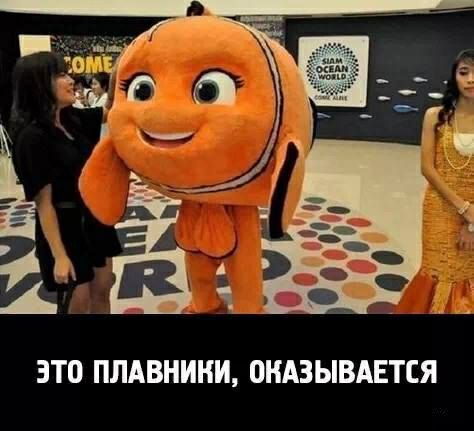 ЭТО ПЛАВНИКИ ОНАЗЫВАЕТСЯ