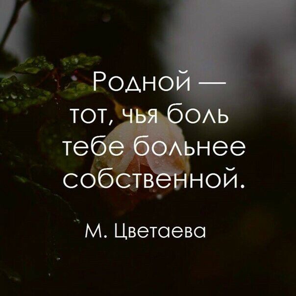 М Цветаева