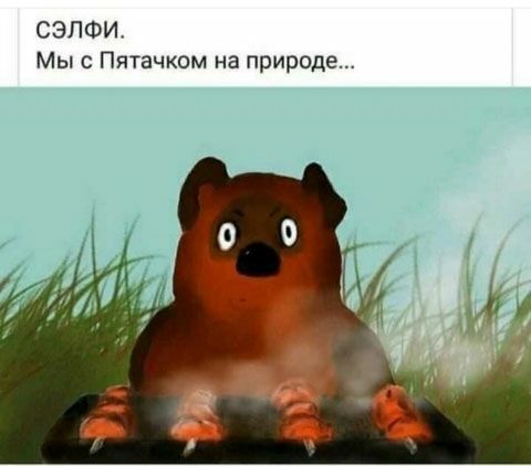 СЭЛФИ Мыс Пятачком на природе