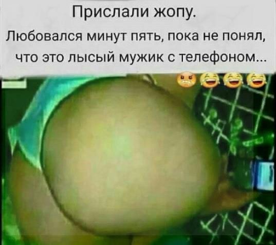 Прислали жопу_ Любовапся минут пять пока не понял что это лысый мужик с телефоном