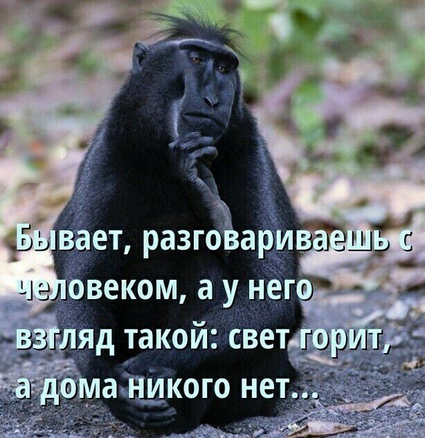 вёеъ разгёаруі