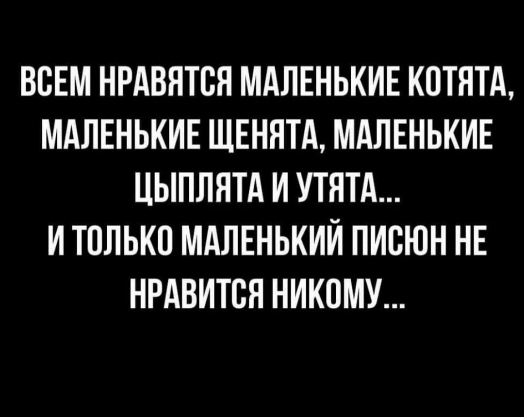 ВСЕМ НРАВЯТВЯ МАЛЕНЬКИЕ КОТЯТА МАЛЕНЬКИЕ ЩЕНЯТА МАЛЕНЬКИЕ ЦЫПЛНТА И УТЯТА И ТОЛЬКО МАЛЕНЬКИИ ПИВЮН НЕ НРАВИТСЯ НИКОМУ
