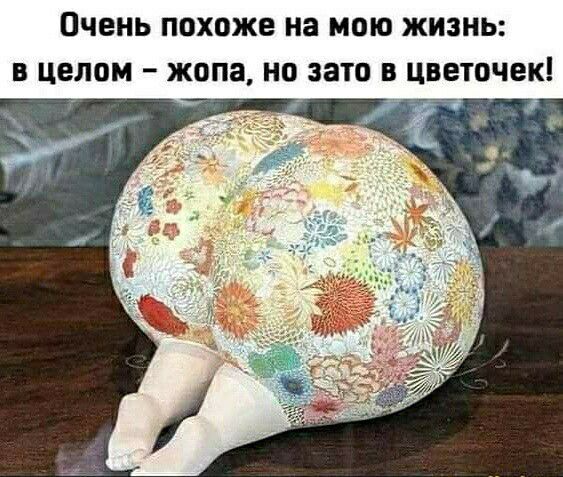 ОЧЕНЬ похоже на МОЮ ЖИЗНЬ В ЦЕЛОМ _ жопа Но зато В цветочек