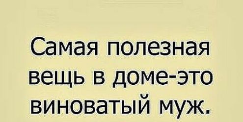 Самая полезная вещь в доме это виноватый муж