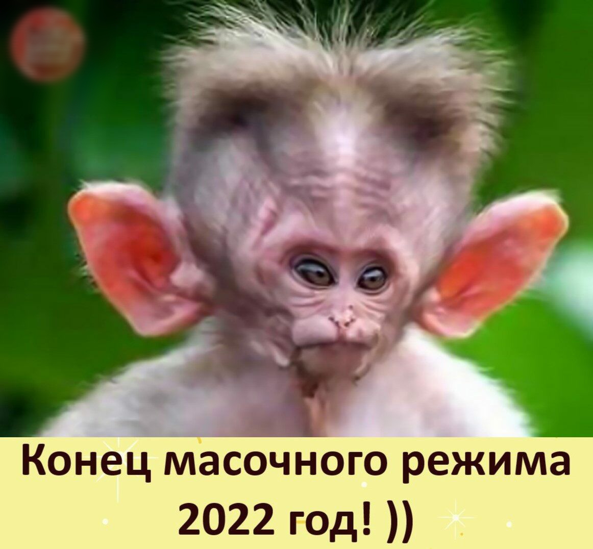 Конец Масочного режима 2022 год