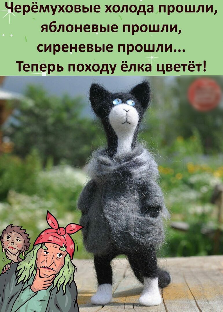 Черёмуховые холода прошли яблоневые прошли сиреневые прошли Теперь походу ёл ка_ цветёт