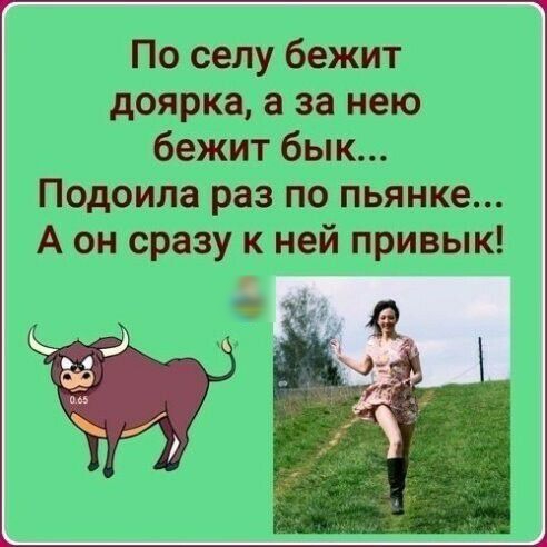 По селу бежит доярка, а за нею подоила раз по пьянке... А он сразу к ней привык!
