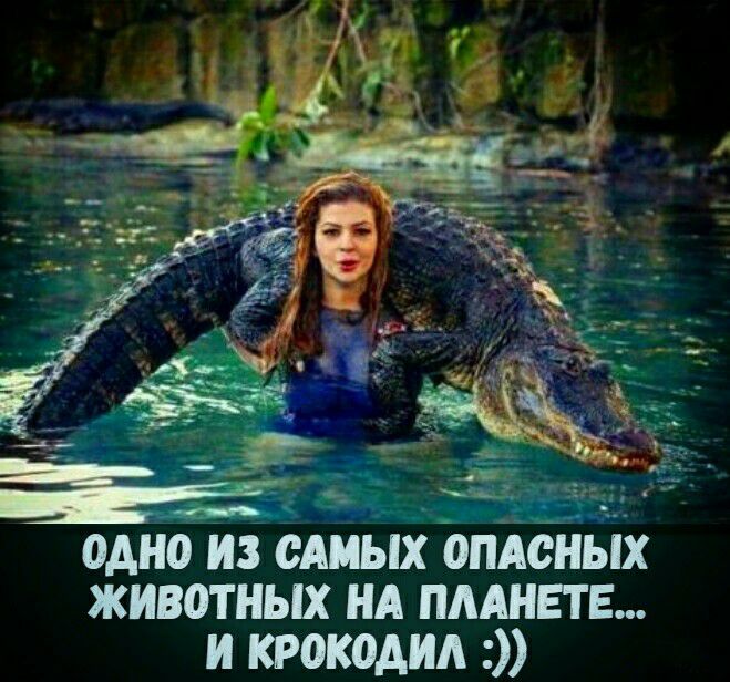 одно пзсдшх опйюных животных нд пмнвтв и крокодил