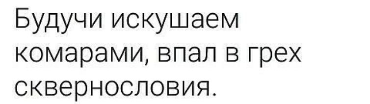 Будучи искушаем комарами впал в грех сквернословия