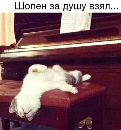 Шопен за душу взял