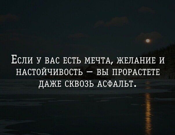 ЕСЛИ У ВАС ЕСТЬ МЕЧТА ЖЕЛАНИЕ И НАСТОЙЧИВОСТЬ ВЫ ПРОРАСТЕТЕ ДАЖЕ СКВОЗЬ АСФАЛЬТ чп
