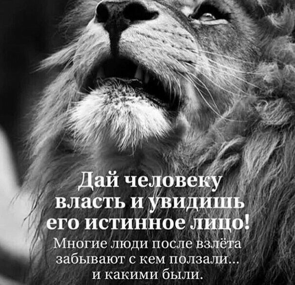 впасть и и _д то исти поезд Многие люди послеёзз _а забывают с кем ползали и какими были