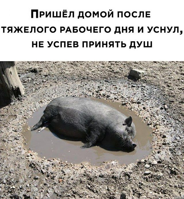ПришЁл домой ПОСЛЕ тяжелого РАБОЧЕГО дня и уснул нв успвв принять душ