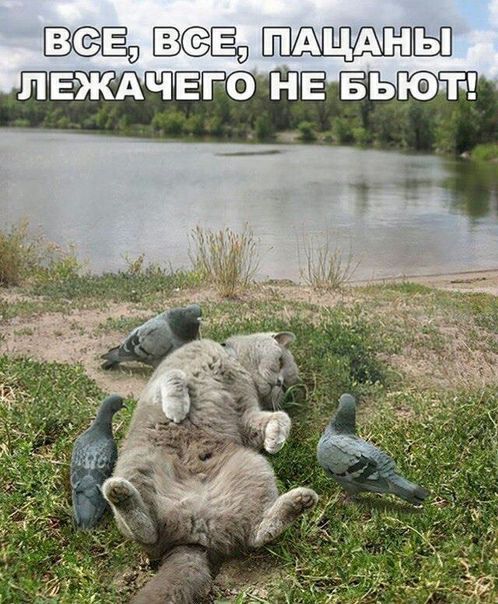 Вёошщиъщы