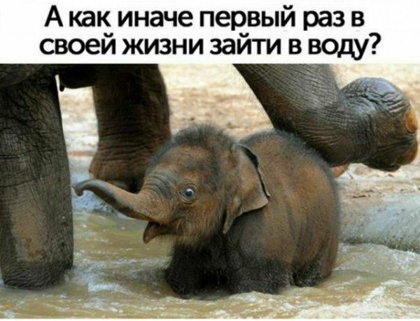 А как иначе первый раз в своей жизни зайти в воду