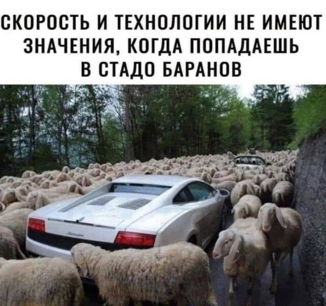 СКОРОСТЬ И ТЕХНОЛОГИИ НЕ ИМЕЮТ ЗНАЧЕНИЯ КОГДА ПОПАДАЕШЬ В ОТАДО БАРАНОВ