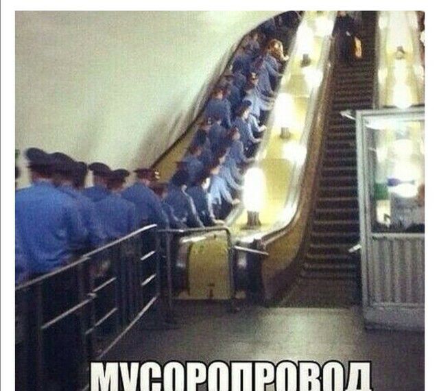 ппрппрпвпп