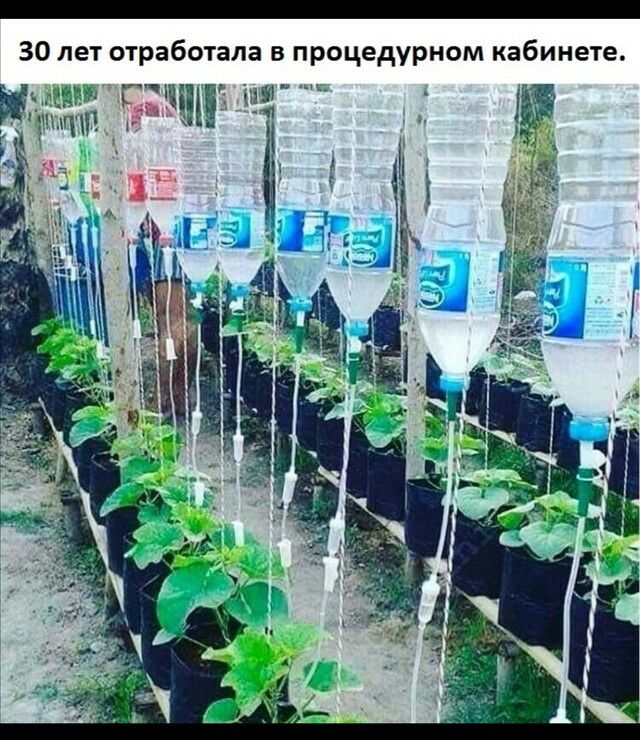 30 лет отработала в процедурном кабинете