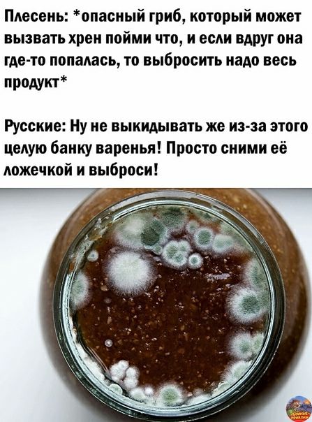 Плесень опасный гриб который может вызвать хрен пойми что и если вдруг она где то попалась то выбросить надо весь продукт Русские Ну не выкидывать же из за этого целую банку варенья Просто сними её ложечкой и выброси