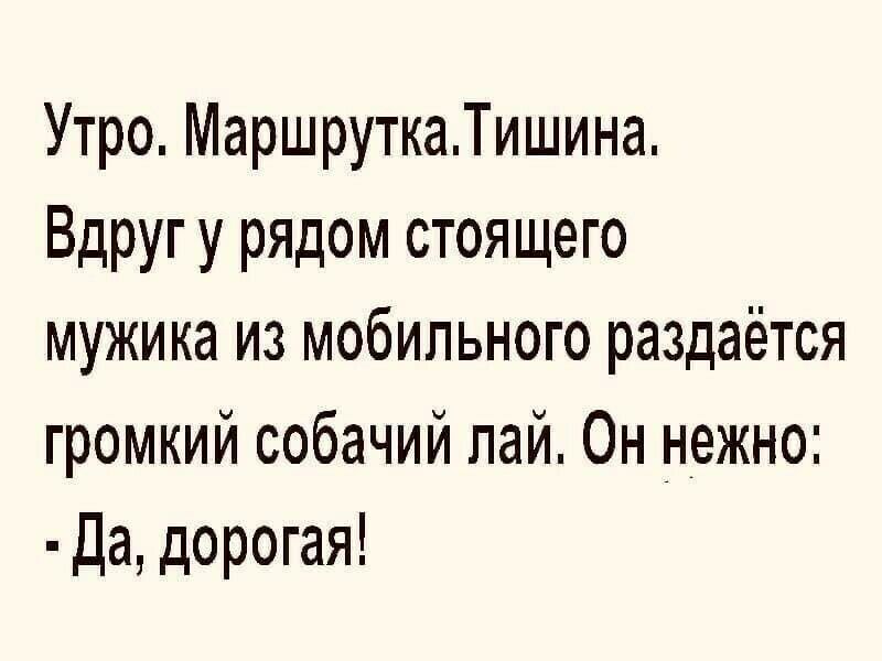 Утро МаршруткаТишина Вдругу рядом стоящего мужика из мобильного раздаётся громкий собачий пай Он нежно Да дорогая