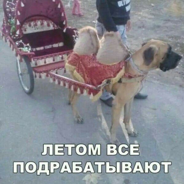 атеми мібв _ ктодрдпіъп Ают