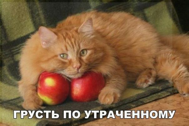 ГРУСТЬ ПО УТРАЧЕННОМУ