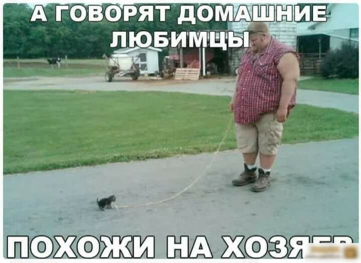 Ж жожт