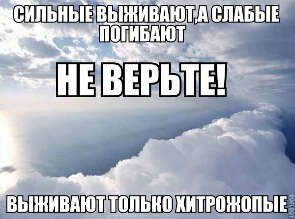 ШШШНЕШШЁШЁЪЕ ШЁ ВЕРЬЁЁ