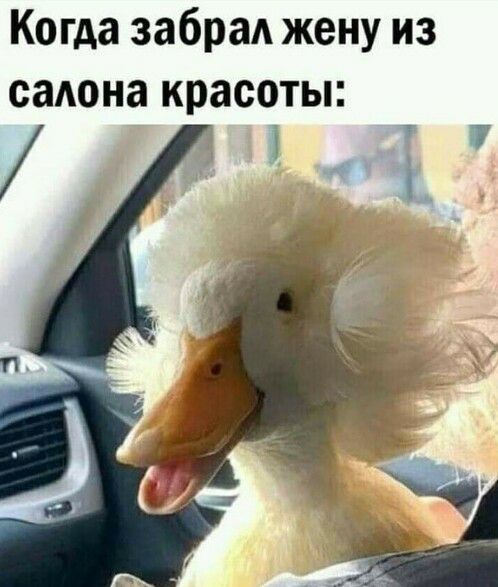 Когда забрал жену из саАона красоты
