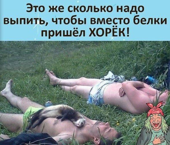Это же сколько надо выпить чтобы вме_то белки пришёл ХОРЕК