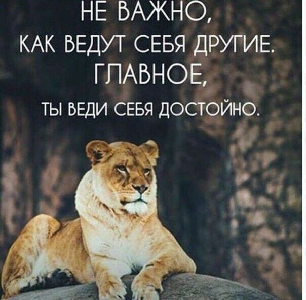 НЕ ВАЖНО КАК БЕДУТ СЕБЯ ДРУГИЕ ГПАБНОЕ__ ТЫ БЕДИ СЕБЯ ДОСТОЙНО