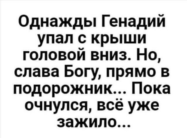 Однажды Генадий упал с крыши головой вниз Но слава Богу прямо в подорожник Пока очнулся всё уже зажило