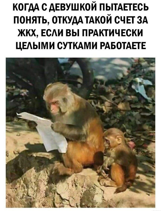 КОГДА С АЕВУШ КОЙ ПЫТАЕТЕСЬ ПОНЯТЬ ОТКУДА ТАКОЙ СЧЕГ ЗА ЖКХ ЕСАИ ВЫ ПРАКТИЧЕСКИ ЦЕАЫМИ СУТКАМИ РАБОТАЕТЕ
