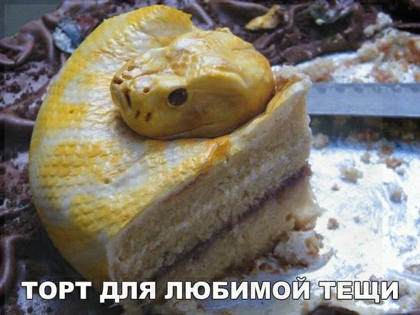 М И Б ю П Я т Т Р _