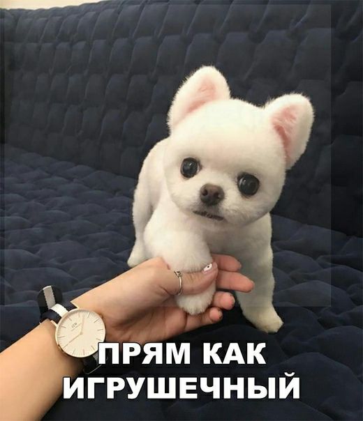 ИГРУШЕЧНЫЙ