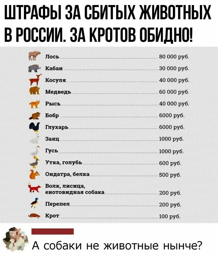 Штрафы за сбитых животных в россии. За кротов обидно!  Т во000рув авн зо0о0руб пр косутя 49000 руб ф медведь 60000 руб. Чрр рысь 49000 руб  об во0о руб.  Гухарь 6000 руб. Заяц 1000 руб.  Тгусь 1000 руб. Р уткаголубь 600 руб  онтетры лан воорув е потоидныя собана 200руб  перепел 200 руб м корот 100 руб энанннннннт  ё. А собаки не животные нынче?