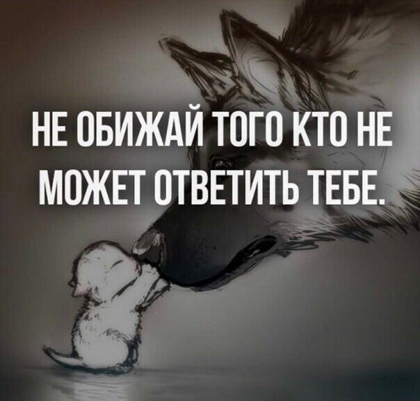 чм из 1 НЕ ОБИЖАИ ТОГО КТО НЕ МОЖЕТ ОТВЕТИТЬ __ТЕБЕз