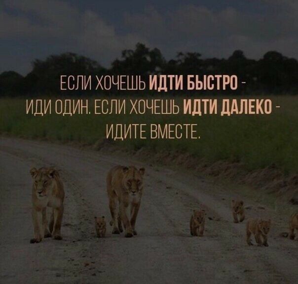 ЕСЛИ ХОЧЕШЬ ИДТИ БЫСТРП ИДИ ОДИН ЕСЛИ ХОЧЕШЬ ИДТИ МЛЕКП ИДИТЕ ВМЕСТЕ