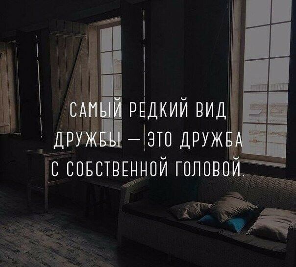 ддріё зто друж 50 вовствіынпй голови