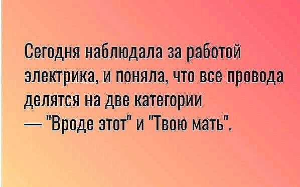 Сегодня наблюдала за работой электрика и понялачто все провода делятся на две категории Вроде этот и Твию мать