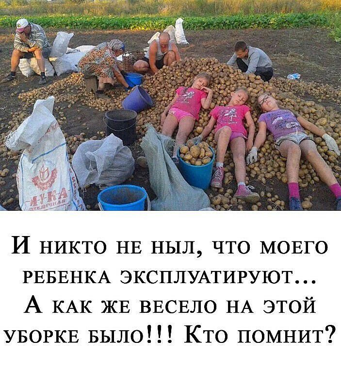 И никто НЕ пыл что МОЕГО РЕБЕНКА ЭКСПЛУАТИРУЮТ А КАК ЖЕ ВЕСЕЛО НА этой УБОРКЕ Было Кто помнит