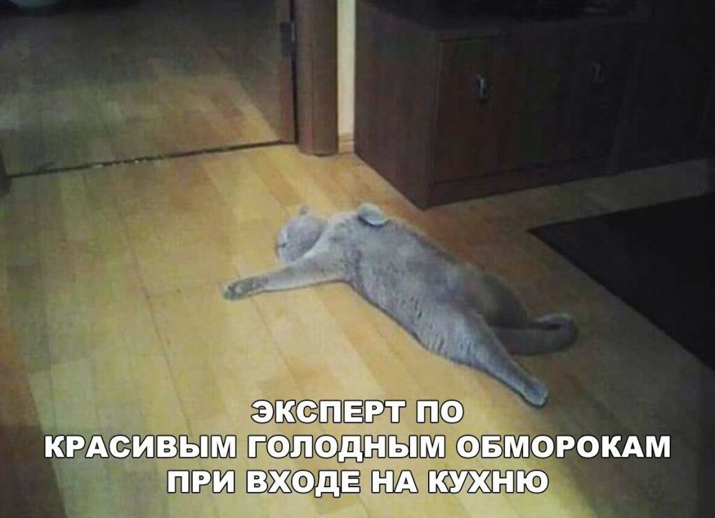 т ШЗВЁЛ ЩНШШ Мрокдм _ вжодвп _
