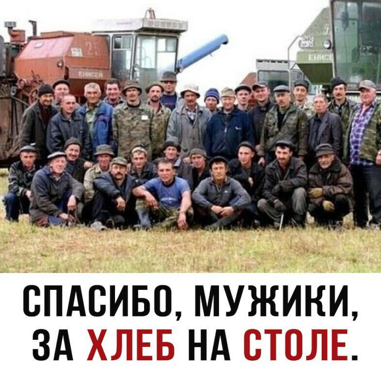 итд стпиво мужии зд хлев нд столв