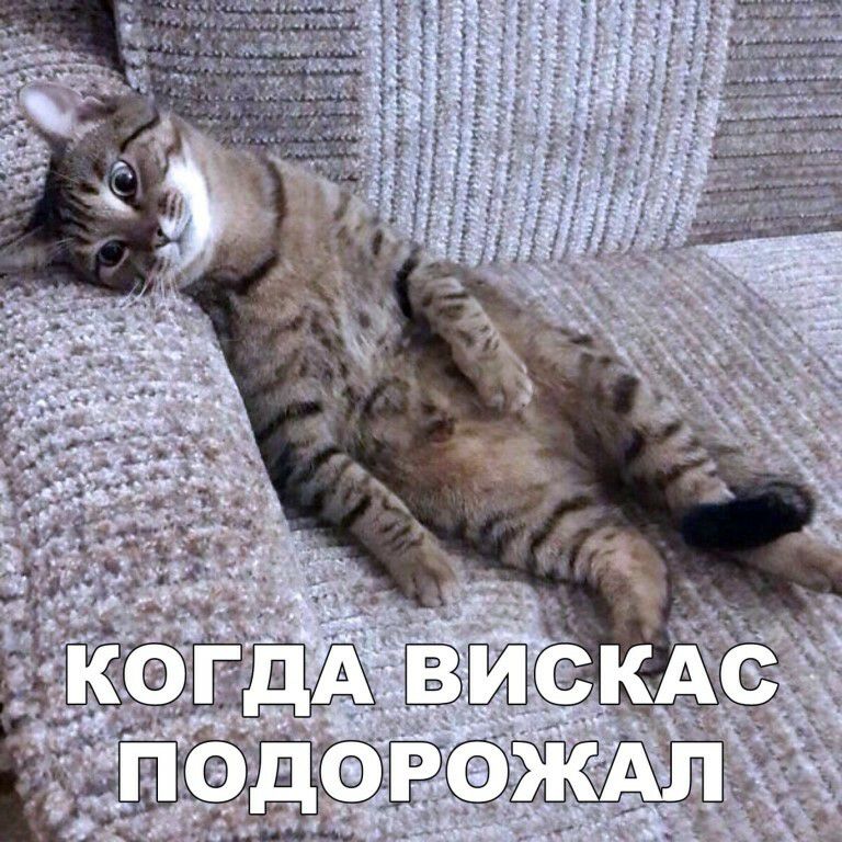 6352 353 1 й