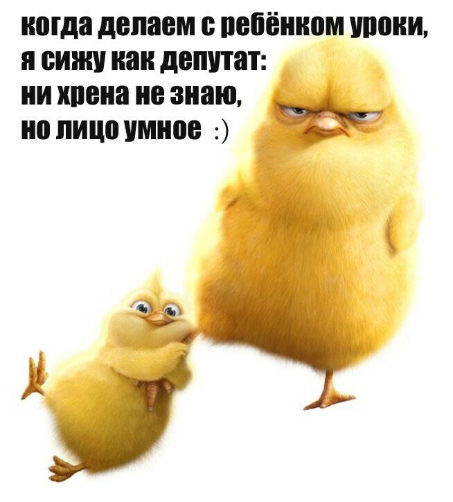 негде делаем е ребёнком тени еинш наи депутат ни хрена не знаю не лице умнее