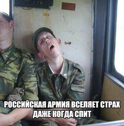 ВИИЁШШ ИРМИИ ВЁШИЕТ ВТРИИ МЙЁИЁПИ ПИТ 1 4