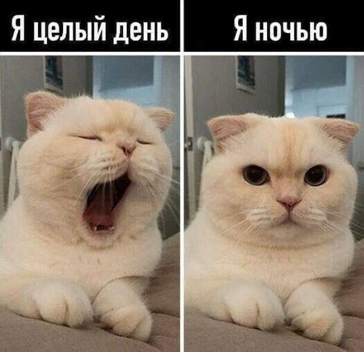 Я целый день Я ночью 1 мдя _ Э